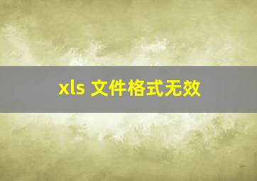 xls 文件格式无效